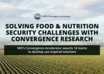 NSF spurs use-inspired research and technology development to address food and nutrition security challenges