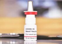 India: Bharat Biotech’s nasal Covid vaccine as booster dose to be available on CoWIN app from today