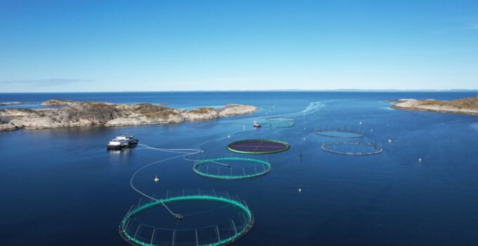 Floating solar tech for aquaculture