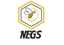How Nigerian Startup, Negs Empire, Produces Quality Honey Using Technology, by Abbas Badmus