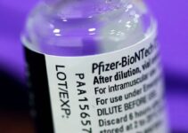 Pfizer’s bedfellow BioNTech equally culpable in fatally flawed mRNA vaccine manufacturing