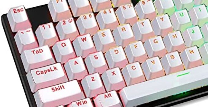 Pudding Keycaps-RisoPhy Double Shot PBT Keycap Set for Mechanical Keyboard,OEM Profile with Keycap Puller,Compatible with 104 Keys Full Size,80%,75%,60% Percent Keyboard-Crystal