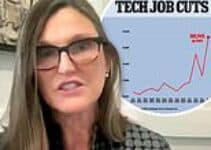Queen of Bull Market Trump supporting Wall Street CEO claims tech firms laying off workers due to AI