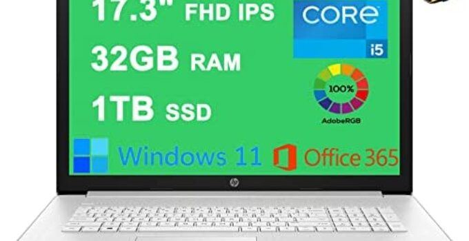 HP 17 Business Laptop 17.3″ FHD IPS (300 nits, 100% sRGB) 11th Gen Intel Quad-Core i5-1135G7 (Beats i7-1065G7) 32GB RAM 1TB SSD Intel Iris Xe Graphics Office365 Win11 Silver + HDMI Cable