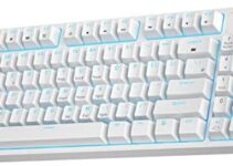RK ROYAL KLUDGE RK89 85% Triple Mode BT5.0/2.4G/USB-C Hot Swappable Mechanical Keyboard, 89 Keys Compact Mechanical Keyboard with Detachable Frame & Software (Hot-Swappable Red Switch, White)
