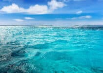 Making waves: Tech firm debuts ocean-based carbon removal protocol