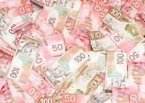 USD/CAD: Technical risks tilted slightly to the downside – Scotiabank
