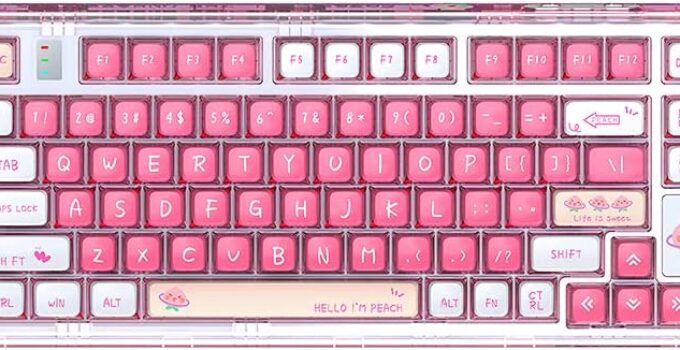 EPOMAKER CoolKiller CK75 75% Transparent Gasket Hot Swap Bluetooth/2.4Ghz Wireless/Type-C Wired Gaming Keyboard with South-Facing RGB, KSA Profile PBT Keycaps, Compatible with Win/Mac/Android