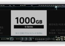 Nextorage Japan 1TB NVMe PCIe Gen.4 M.2 Internal SSD (Read Speed up to 7300MB/s Write Speed up to 6900 MB/s)