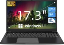 SGIN 17" Laptop, 8GB RAM 256GB SSD Notebook, 17 Inch Laptops with IPS Full HD, Intel Celeron N4020(Up to 2.8GHz), Mini HDMI, Webcam, Dual Wi-Fi, Windows 11 Home, Expandable Storage 512GB TF(Gray)