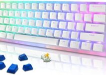 XVX Womier K61 Wired 60% Mechanical Keyboard PRO, Hot Swappable Dual RGB Backlit Keyboard, Gateron Switch Compact 61 Keys Gaming Keyboard, Pro Driver/Software Supported(Pudding keycaps, Yellow Switch)