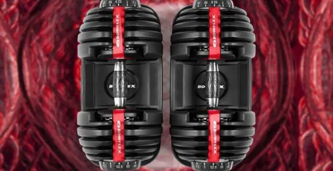 Deal Alert: Bowflex SelectTech 552 Adjustable Dumbbells Dropped to $379