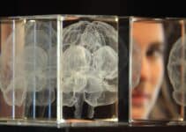 Progress on mind-reading technology is sparking ethical concerns