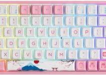 Akko World Tour Tokyo 75% Hot-swappable Mechanical Gaming Keyboard with PBT Keycaps, 2.4G Wireless/Bluetooth/Wired 3084B Plus 84-Key RGB Keyboard, Compatible with Mac & Win Jelly Pink Switches