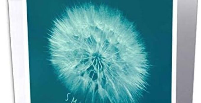 3dRose Russ Billington Designs – Smile Today- Uplifting Message with Image of Dandelion Head – 6 Greeting Cards with envelopes (gc_241124_1)