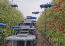 VIDEO: Israel introduces latest technology to improve agriculture