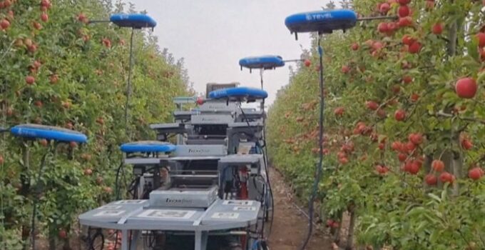 VIDEO: Israel introduces latest technology to improve agriculture