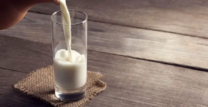 Nestlé’s patented technology can enable ‘source of fiber’ claims for milk products