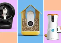 10 pieces of smart tech that make your pets’ lives easier
