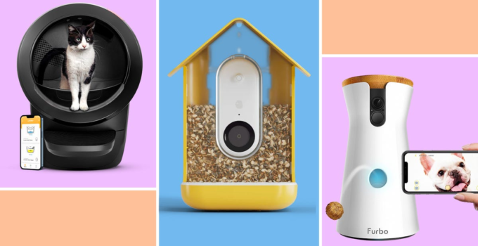 10 pieces of smart tech that make your pets’ lives easier