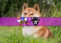 Meme Coin Watch: BoneShibaSwap Surges 8%, Wall Street Memes Hits $26 Million, $DOGE Technicals Point to Further Struggles