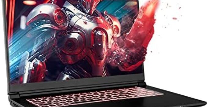 Sager 2023 NP6271C Gaming Laptop, 17.3 Inch FHD 144Hz, Intel i9-13900H, RTX 4050 6GB, 32GB RAM, 1TB Gen4 NVMe SSD, Win 11