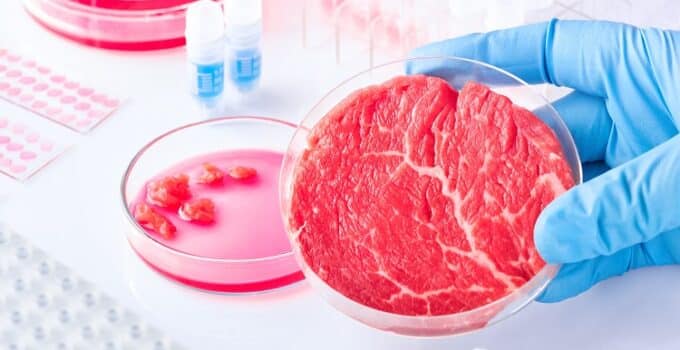 A ‘pioneering’ process for spent cell culture media: Rejuvenation tech expected to bring down price of cultivated meat