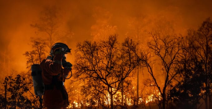 Rogers leverages AI and SpaceX technology to fight wildfires in British Columbia