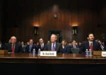 What tech CEOs Elon Musk, Mark Zuckerberg, and Brad Smith have to say about AI regulation