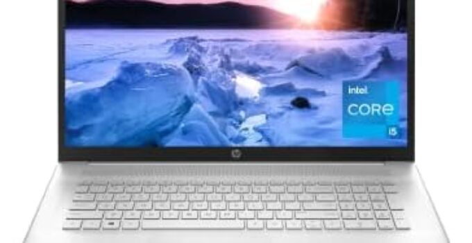 HP 17-inch Laptop, 11th Generation Intel Core i5-1135G7, Iris Xe Graphics, 20 GB RAM, 1TB SSD, Windows 11 Home (Natural Silver)