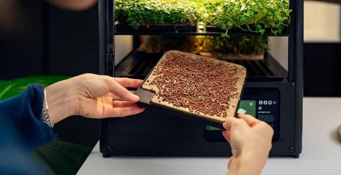 ‘CROP is designed for small spaces’: Crops can be grown indoors by new technology