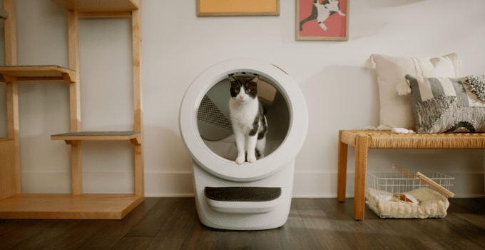 Love Your Cat? Track Its Bathroom Schedule With This High-Tech Litter Box