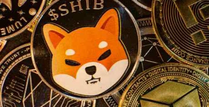 Self-Authentication System Of Shiba Inu Has Technical Issues, Developer Reveals