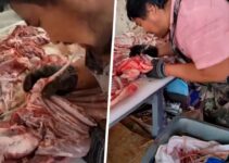 ‘Disgusting’: video of China butcher shop worker deboning raw lamb ribs with mouth in ‘decades-old’ technique sparks food safety debate online