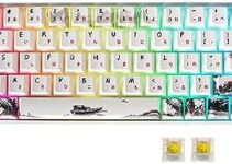 MOLGRIA GK68 68-Key RGB Backlit Gaming Keyboard with Plum Blossom Keycaps, Hot Swappable Yellow Mechinery Gateron Switches, Type C Wired Mechanical Keyboard for Win/Mac OS