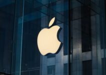 Fair Play in Fintech: How Apple’s Antitrust Verdict Reshapes Payments