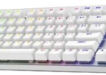 Logitech G PRO X TKL LIGHTSPEED Wireless Gaming Keyboard, Ultra-Portable Tenkeyless Design, LIGHTSYNC RGB, PBT keycaps, Tactile Switches (GX Brown) – White