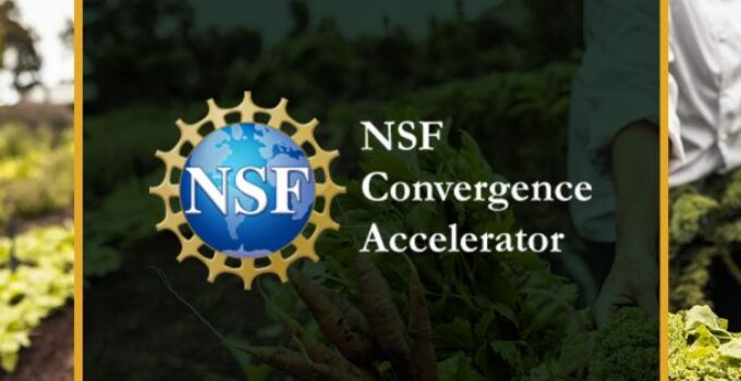 NSF leads a $35M federal investment in future agricultural technologies and solutions