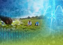 NSF, NIH partner on new research to develop RNA-based methods for biotech innovations