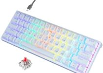 AULA 60 Percent White Mechanical Gaming Keyboard, 29 RGB Backlit Custom Hot Swappable Keyboard, Red Switch 60% Mini Small Wired Compact Keyboard for PC/Mac/Laptop/Wins —— (Wired Version)