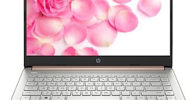 HP Newest 14in Schools and Business Laptop, Intel Quad-Core N4120 CPU, 8GB RAM, 64GB eMMC, 256GB Micro SD, 1-Y Office 365, Webcam, HDMI, WiFi, Win 11 S(Rose Gold), HP 14in
