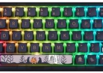 MOLGRIA SKYLOONG GK68 68-Key RGB Backlit Gaming Keyboard with Side Transparent Pudding Keycaps, Hot Swappable Red Optical Gateron Switches, Type C Wired Knob Mechanical Keyboard for Win/Mac OS