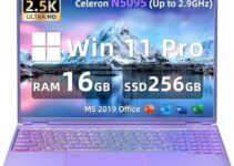 【Win 11 Pro/Office 2019】 16″ Laptop Ultra-Narrow bezels 2.5K FHD(2560×1600) IPS Screen, Celeron N5095,16G RAM, 256GB SSD, Color Backlit KB, Fingerprint Reader, WiFi, Type-C, HDMI(16G+256GB, Purple)
