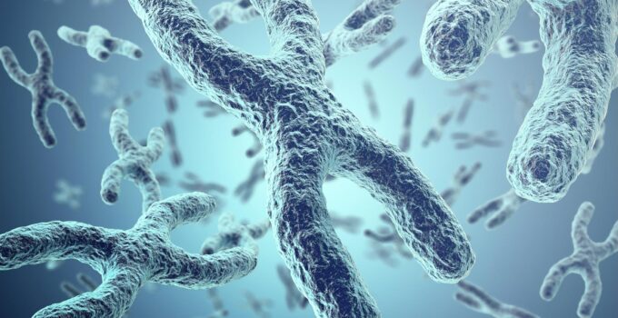 Vast Implications – Scientists Develop Novel Technique To Form Human Artificial Chromosomes