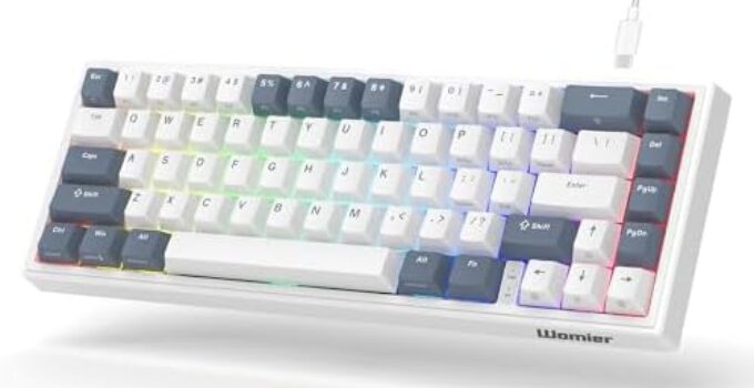 V-K66 60% Percent Keyboard, Mechanical Gaming Keyboard Gasket Mounted, Hot-swappable Keyboard Wired LED Backlit Creamy Keyboard with Arrow Keys – White and Grey