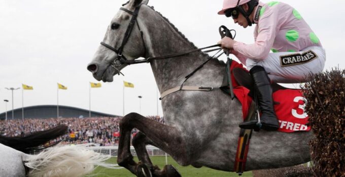 Grand National 2024: Pick your horse at random with our handy interactive gadget