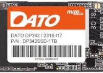 DP342 1TB M.2 2242 PCIe Gen3x4 NVMe 1.3 SSD Internal Solid State Drive (Up to 2500/1800 MB/s)