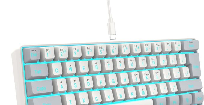 Snpurdiri 60% Wired Gaming Keyboard, RGB Backlit Mini Keyboard, Waterproof Small Ultra-Compact 61 Keys Keyboard for PC/Mac Gamer, Typist, Travel, Easy to Carry on Business Trip(Grey-White)