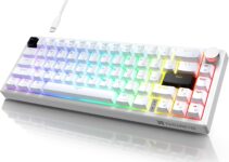 X82 Wired Gaming Keyboard with Volume Knob,60% Mechanical Keyboard Gasket Mount RGB Backlit with Software,Mini Keyboards with 66 Keys Hot Swappable Red Switch,Translucent Characters White